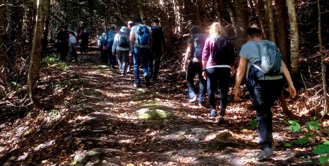 Marche en for t e2025